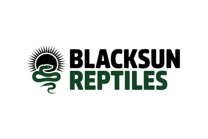 BlackSunReptiles.com - Brand Ape