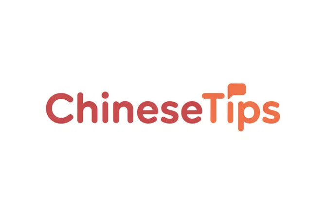 ChineseTips.com domain logo featuring the Nameify brand with a sleek, modern design and Chinese character elements.