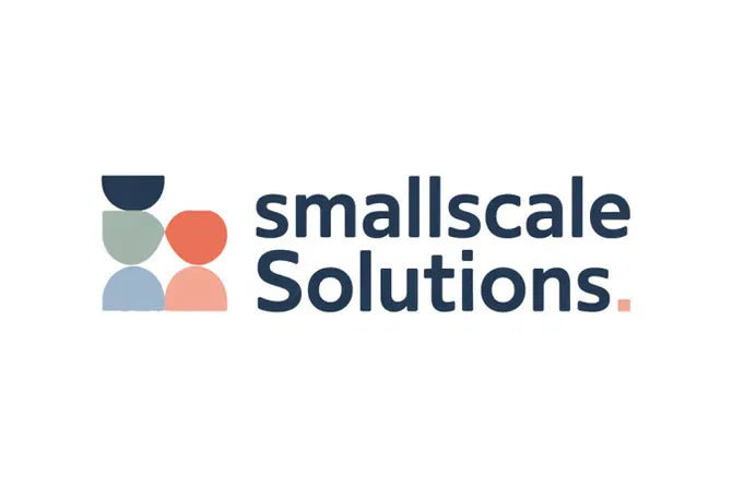 🚀 SmallScaleSolutions.com