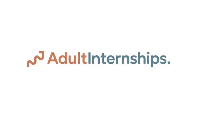 Logo image for AdultInternships.com domain by Nameify, featuring the company logo on a professional background.