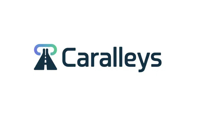 Nameify CarAlleys.com domain logo with sleek design and modern font on a white background.