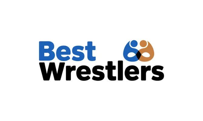 Logo image for BestWrestlers.com domain by Nameify, featuring a clean design with the brand name and wrestling-themed graphics.