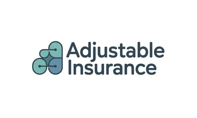 Logo image for AdjustableInsurance.com domain by Nameify, featuring the brand's logo design and branding elements.