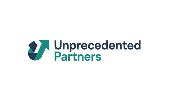 Nameify logo featuring the UnprecedentedPartners.com domain name in a modern design.
