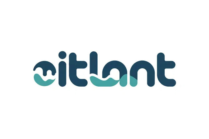 💎 Itlant.com