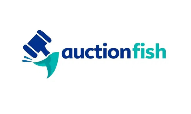 AuctionFish.com domain logo with Nameify branding, featuring a modern design and the website's name in a sleek, professional style.