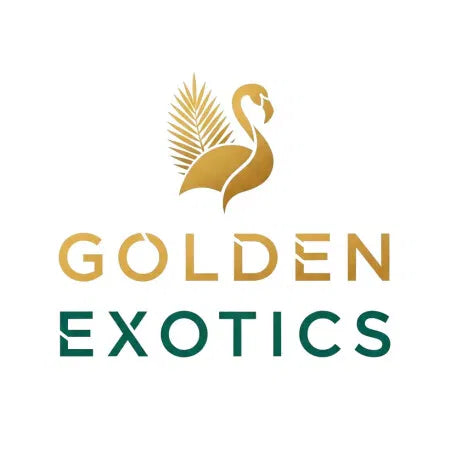 GoldenExotics.com - Brand Ape