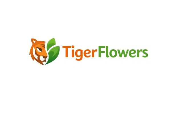 🚀 TigerFlowers.com