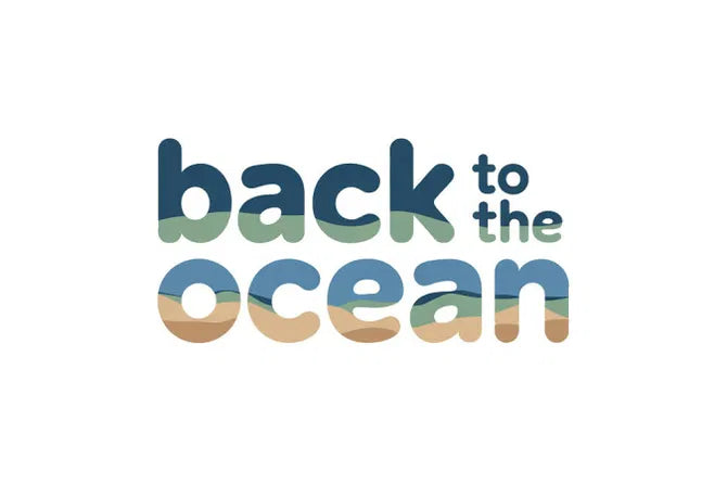 BackToTheOcean.com domain name displayed on a web page with a clean, ocean-themed background, representing the Nameify brand.