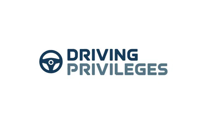 DrivingPrivileges.com