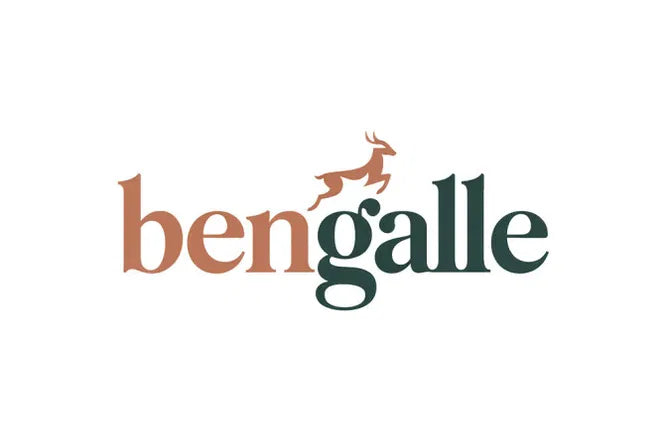 Nameify BenGalle.com domain logo, featuring a sleek design with the BenGalle branding on a professional logo image.
