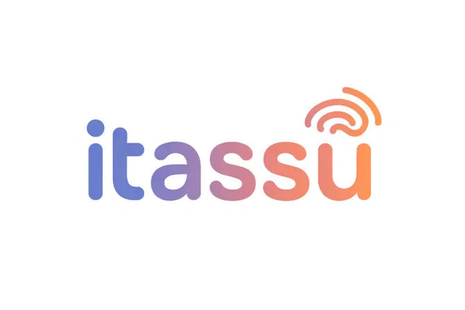 💎 Itassu.com