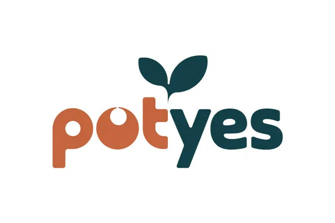💎 Potyes.com