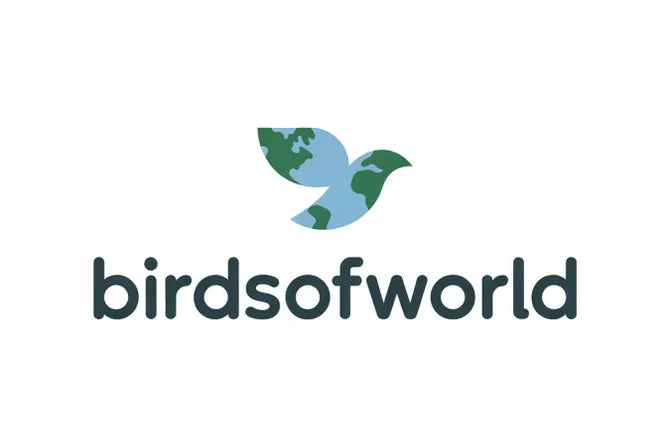 BirdsOfWorld.com domain logo featuring a stylized bird graphic with the Nameify brand name on a white background.