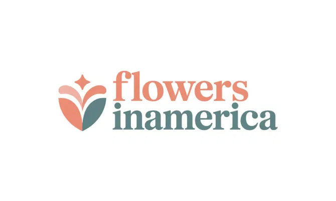 🚀 Flowersinamerica.com